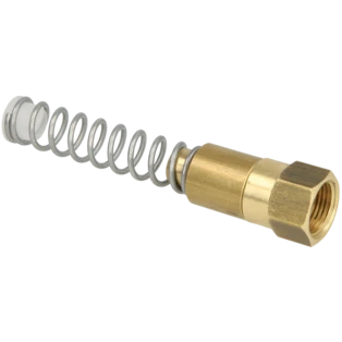 Double ball foot valve 3/8" IT