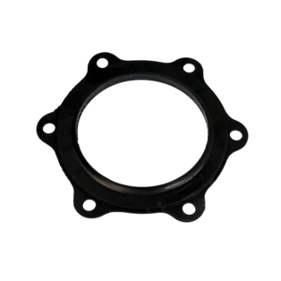 Guarnizione flangia