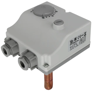 Double immersion thermostat with temperature limiter