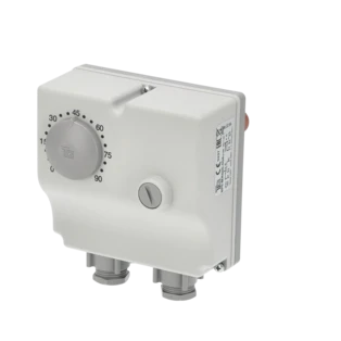 Double immersion thermostat with temperature limiter