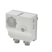 Double immersion thermostat with temperature limiter