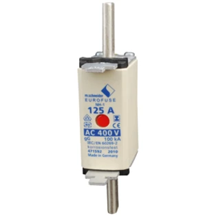 NH-Sicherungseinsatz 125A Gr. 1   