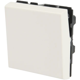 Switch insert Mosaic 2-module 250V~ 10 A with rocker