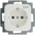 SCHUKO® Steckdoseneinsatz EDV mit Berührungsschutz 