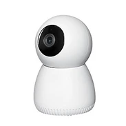 WLAN surveillance camera