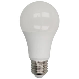 Ampoule LED 12 W avec un culot E27
