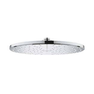 Head shower with EcoJoy Rainshower Mono 310