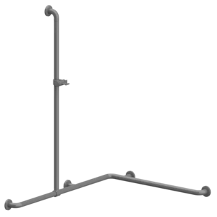 Shower hand rail with movable shower rail