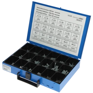 Sortimentskasten Gewindeschrauben 18 Sorten gesamt 750 Teile