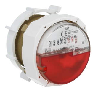 Capsule de mesure pour eau chaude 2'' FM